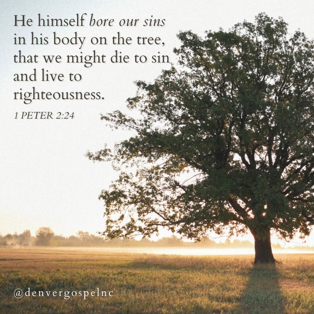 "He himself bore our sins in his body on the tree, that we might die to sin and live to righteousness. By his wounds you have been healed." 1 Peter 2:24