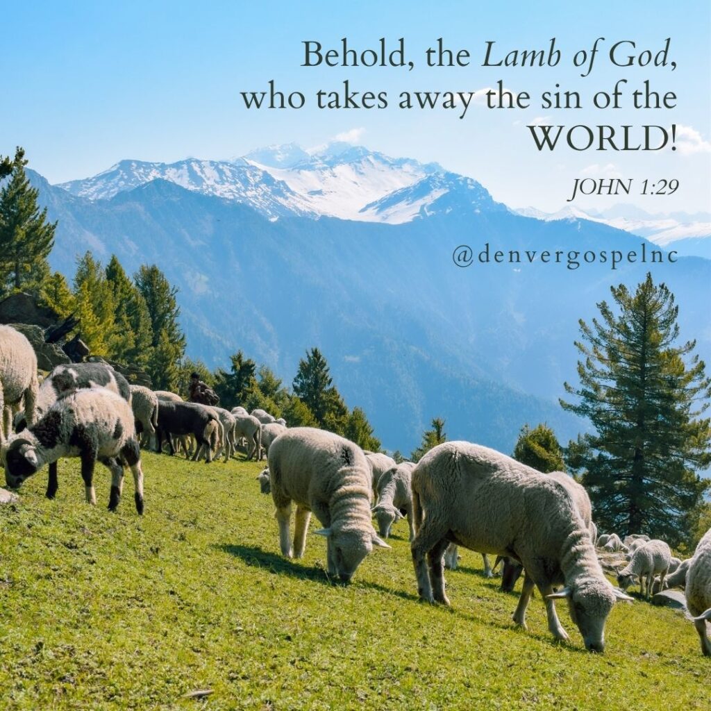 "Behold, the Lamb of God, who takes away the sin of the world!" John 1:29