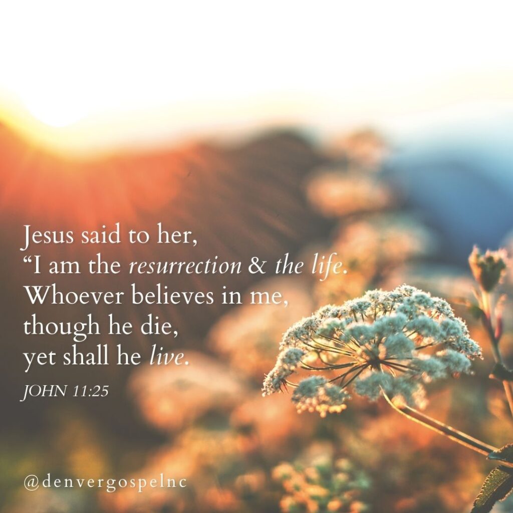 "Jesus said to her, 'I am the resurrection and the life. Whoever believes in me, though he die, yet shall he live...'" John 11:25