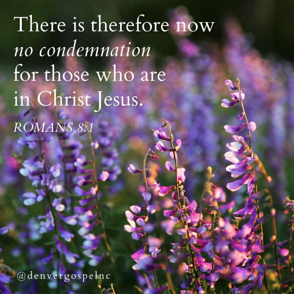 "There is therefore now no condemnation for those who are in Christ Jesus." Romans 8:1